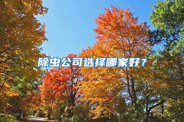 除蟲公司選擇哪家好？