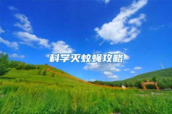 科學(xué)滅蚊蠅攻略