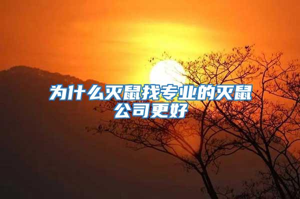為什么滅鼠找專(zhuān)業(yè)的滅鼠公司更好