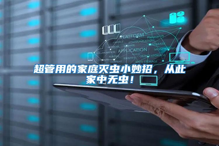 超管用的家庭滅蟲小妙招，從此家中無蟲！