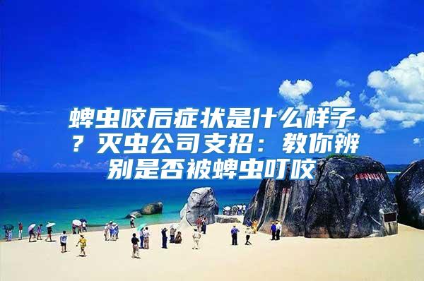 蜱蟲咬后癥狀是什么樣子？滅蟲公司支招：教你辨別是否被蜱蟲叮咬