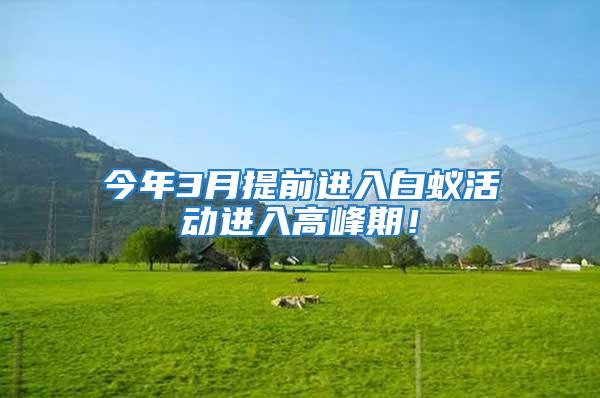 今年3月提前進入白蟻活動進入高峰期！