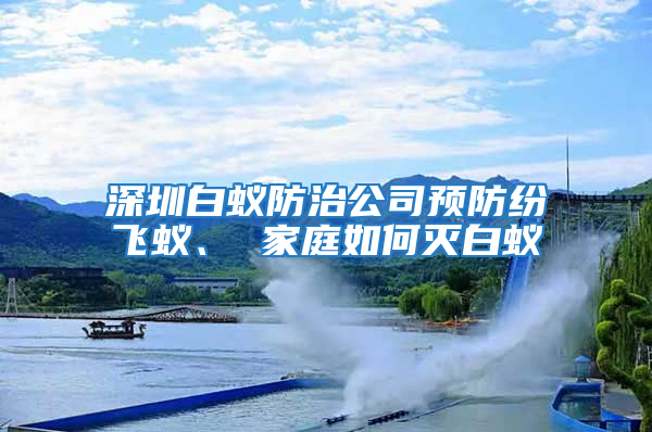 深圳白蟻防治公司預(yù)防紛飛蟻、 家庭如何滅白蟻