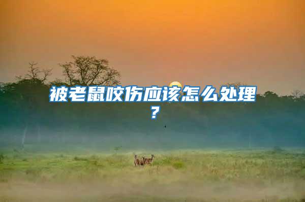被老鼠咬傷應(yīng)該怎么處理？