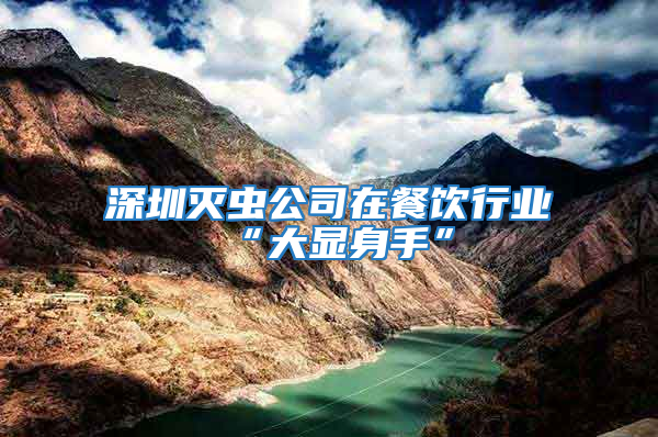深圳滅蟲(chóng)公司在餐飲行業(yè)“大顯身手”