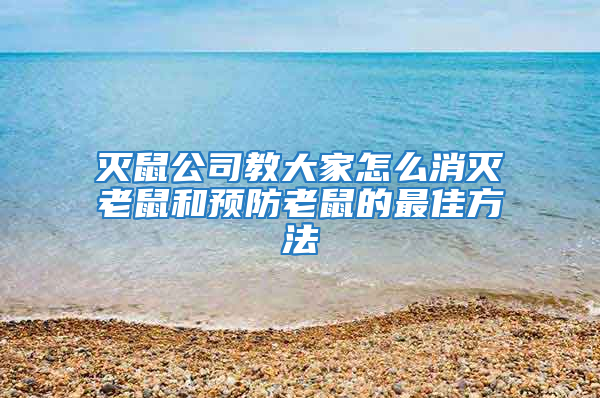 滅鼠公司教大家怎么消滅老鼠和預(yù)防老鼠的最佳方法