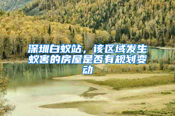深圳白蟻站，該區(qū)域發(fā)生蟻害的房屋是否有規(guī)劃變動(dòng)