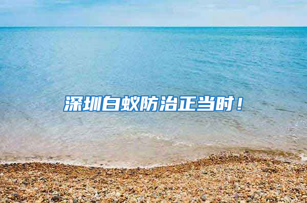 深圳白蟻防治正當(dāng)時！