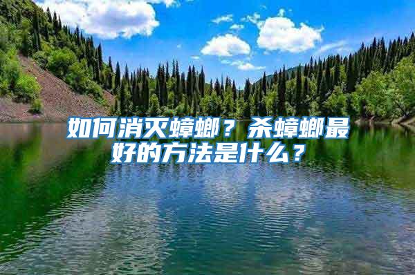 如何消滅蟑螂？殺蟑螂最好的方法是什么？