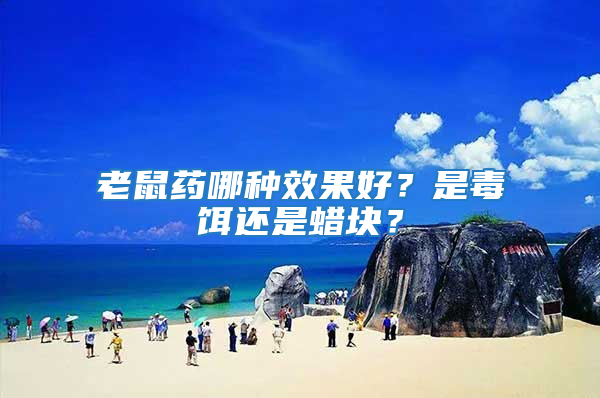 老鼠藥哪種效果好？是毒餌還是蠟塊？