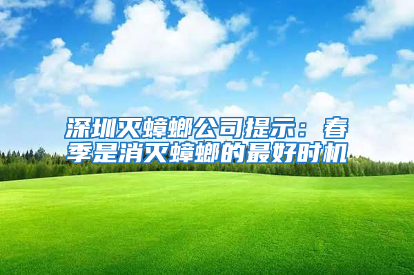 深圳滅蟑螂公司提示：春季是消滅蟑螂的最好時機(jī)