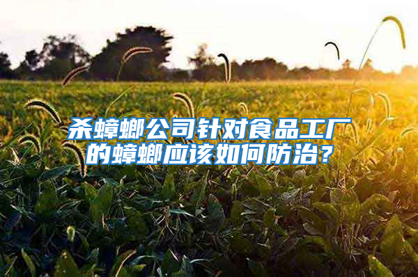 殺蟑螂公司針對食品工廠的蟑螂應該如何防治？