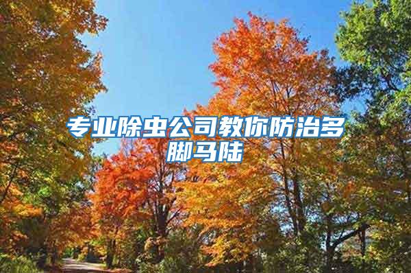 專業(yè)除蟲(chóng)公司教你防治多腳馬陸