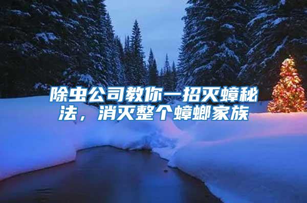 除蟲(chóng)公司教你一招滅蟑秘法，消滅整個(gè)蟑螂家族