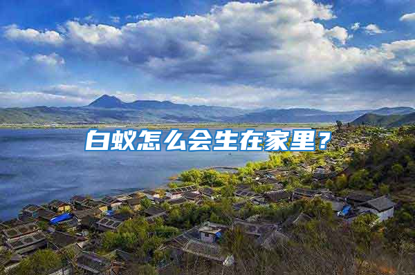 白蟻怎么會(huì)生在家里？