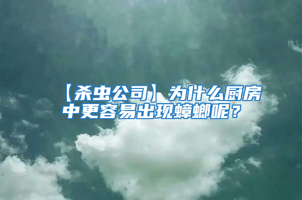 【殺蟲公司】為什么廚房中更容易出現蟑螂呢？