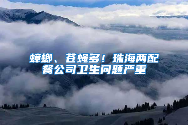 蟑螂、蒼蠅多！珠海兩配餐公司衛(wèi)生問題嚴(yán)重