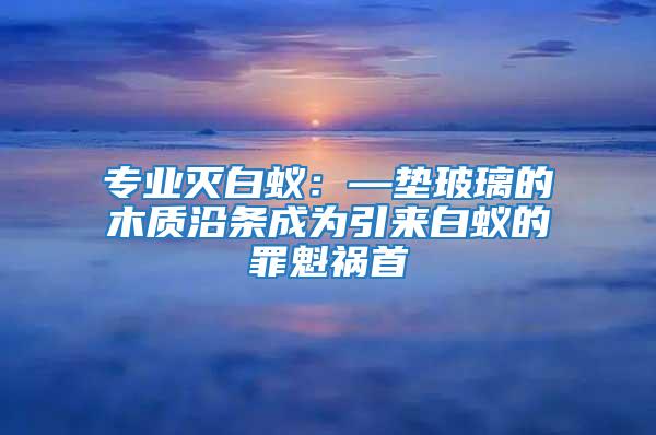 專業(yè)滅白蟻：—墊玻璃的木質(zhì)沿條成為引來(lái)白蟻的罪魁禍?zhǔn)?/></p>
             <p style=