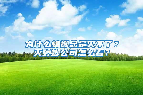 為什么蟑螂總是滅不了？滅蟑螂公司怎么看？