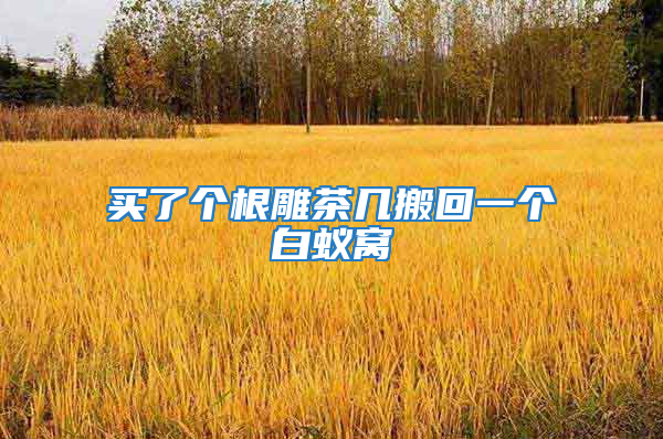 買(mǎi)了個(gè)根雕茶幾搬回一個(gè)白蟻窩