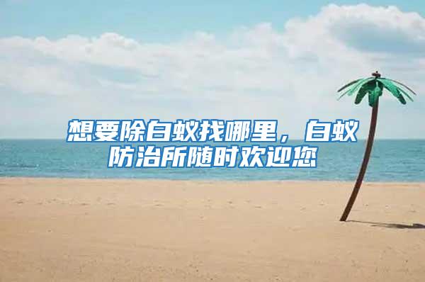 想要除白蟻找哪里，白蟻防治所隨時歡迎您