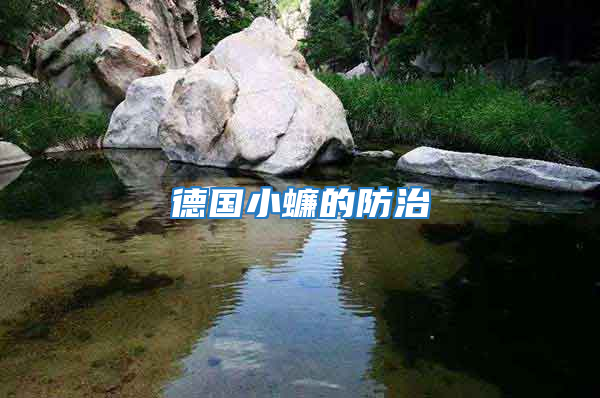 德國(guó)小蠊的防治