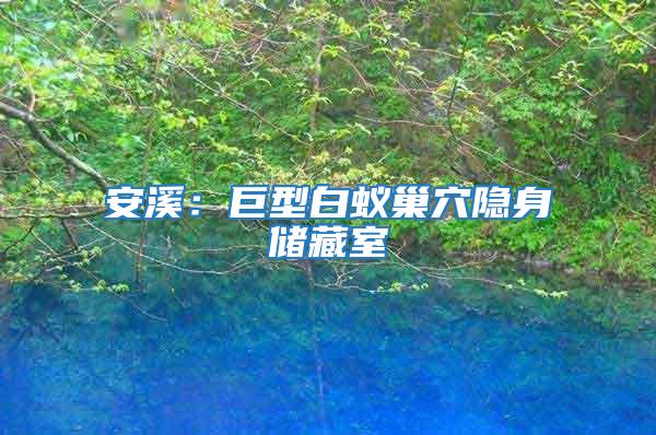 安溪：巨型白蟻巢穴隱身儲(chǔ)藏室