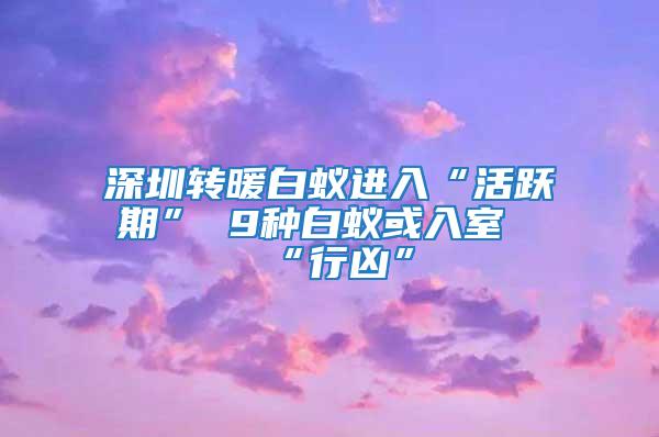 深圳轉(zhuǎn)暖白蟻進(jìn)入“活躍期” 9種白蟻或入室“行兇”