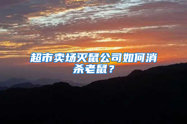 超市賣場滅鼠公司如何消殺老鼠？