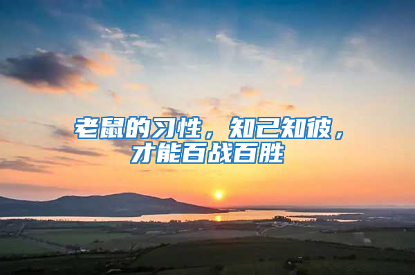 老鼠的習性，知己知彼，才能百戰(zhàn)百勝
