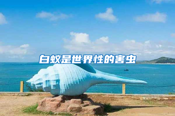 白蟻是世界性的害蟲(chóng)