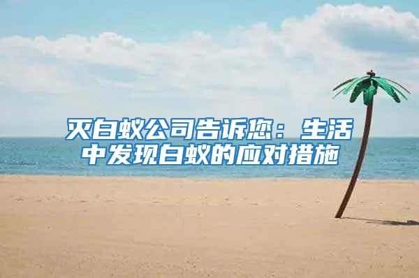 滅白蟻公司告訴您：生活中發(fā)現(xiàn)白蟻的應(yīng)對(duì)措施