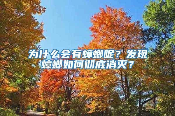為什么會有蟑螂呢？發現蟑螂如何徹底消滅？