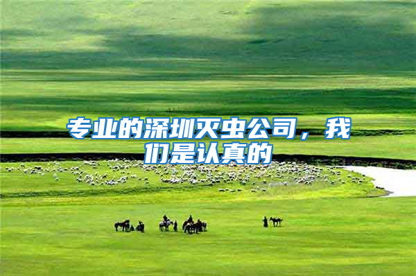 專業(yè)的深圳滅蟲公司，我們是認(rèn)真的