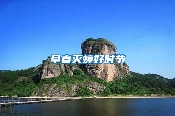 早春滅蟑好時節(jié)