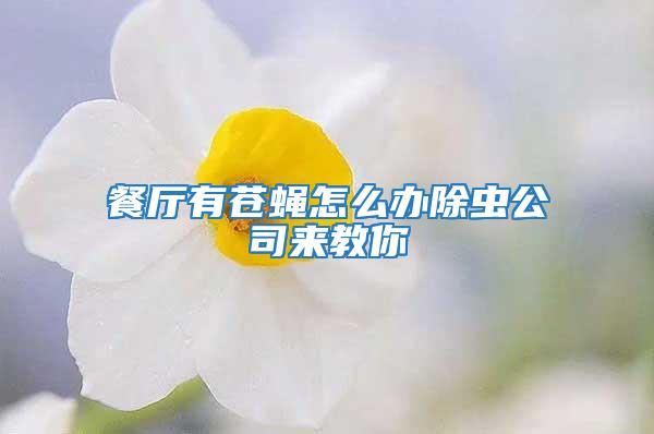 餐廳有蒼蠅怎么辦除蟲公司來(lái)教你