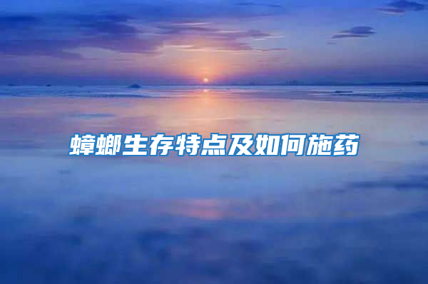 蟑螂生存特點(diǎn)及如何施藥