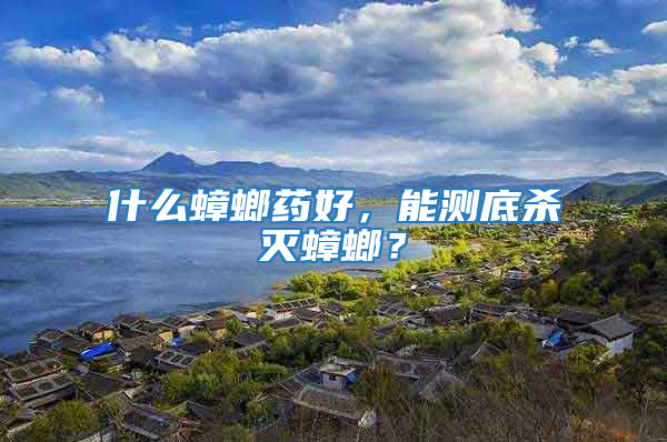 什么蟑螂藥好，能測底殺滅蟑螂？