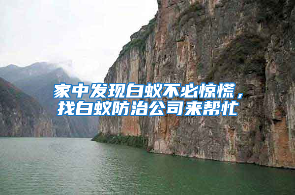 家中發(fā)現(xiàn)白蟻不必驚慌，找白蟻防治公司來幫忙