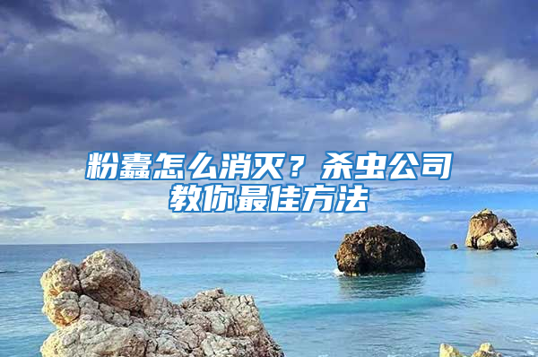 粉蠹怎么消滅？殺蟲(chóng)公司教你最佳方法