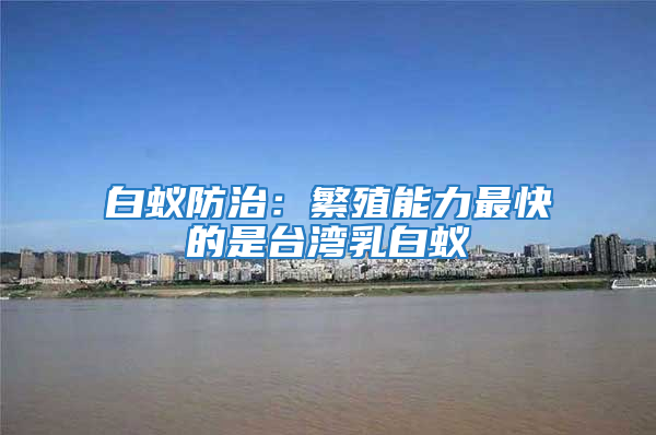 白蟻防治：繁殖能力最快的是臺(tái)灣乳白蟻