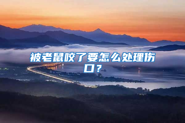 被老鼠咬了要怎么處理傷口？