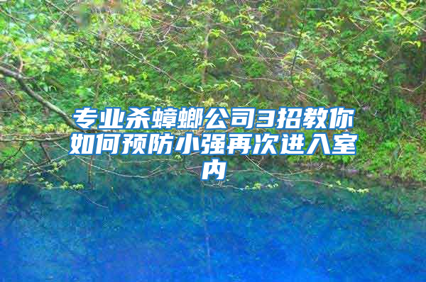 專業(yè)殺蟑螂公司3招教你如何預(yù)防小強再次進入室內(nèi)