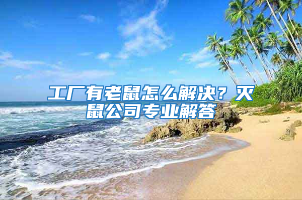 工廠有老鼠怎么解決？滅鼠公司專業解答