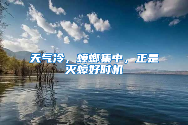 天氣冷，蟑螂集中，正是滅蟑好時(shí)機(jī)
