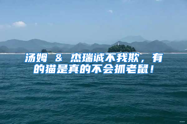 湯姆 & 杰瑞誠(chéng)不我欺，有的貓是真的不會(huì)抓老鼠！