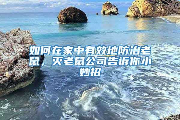 如何在家中有效地防治老鼠，滅老鼠公司告訴你小妙招