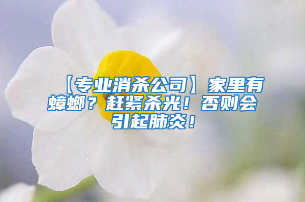 【專業消殺公司】家里有蟑螂？趕緊殺光！否則會引起肺炎！