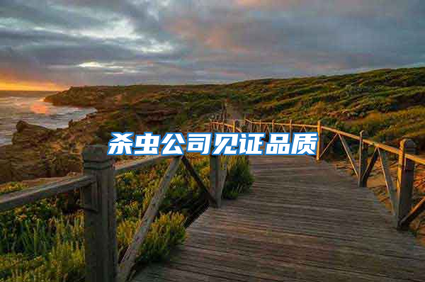 殺蟲(chóng)公司見(jiàn)證品質(zhì)