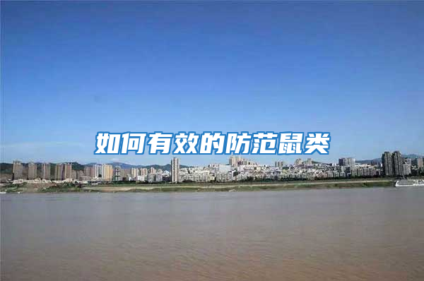 如何有效的防范鼠類(lèi)